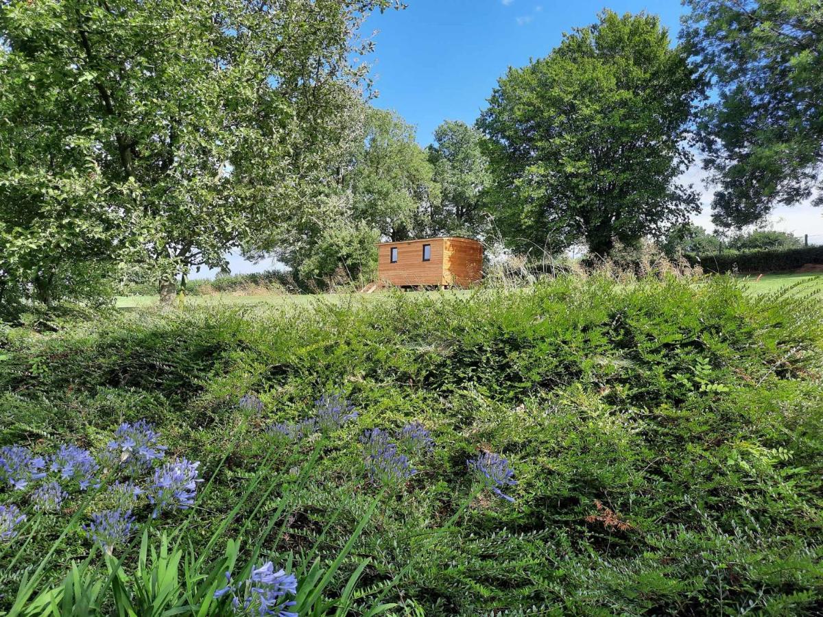 Villa La Roulotte De Soiron Pepinster Esterno foto